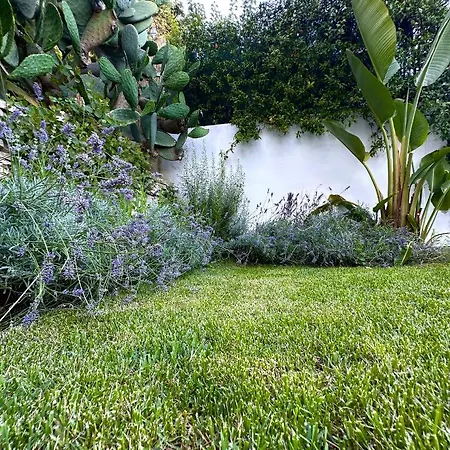 Numeronove Semesterbostad *